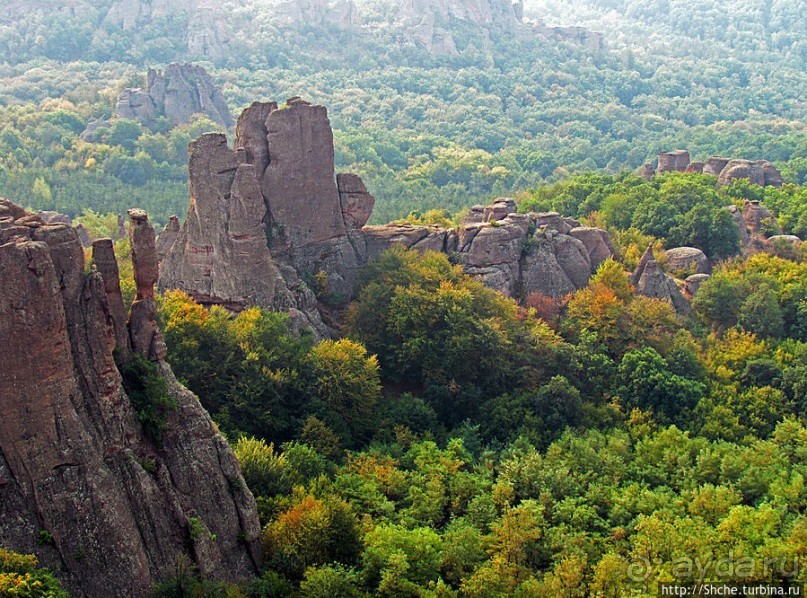 "Ты видел что нибудь красивее?" ...так близко?