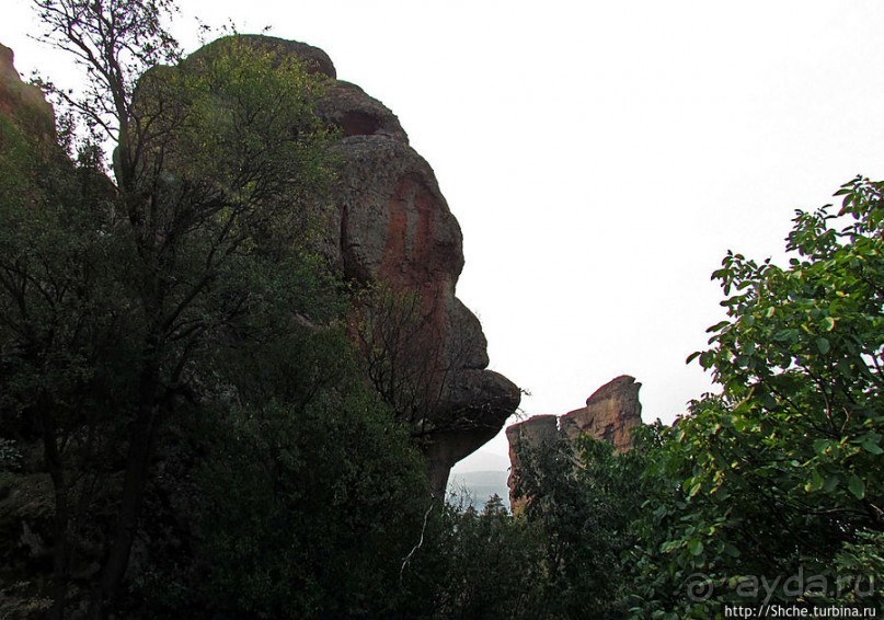 "Ты видел что нибудь красивее?" ...так близко?