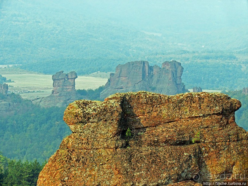 "Ты видел что нибудь красивее?" ...так близко?