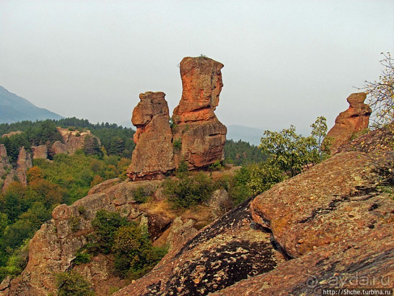 "Ты видел что нибудь красивее?" ...так близко?