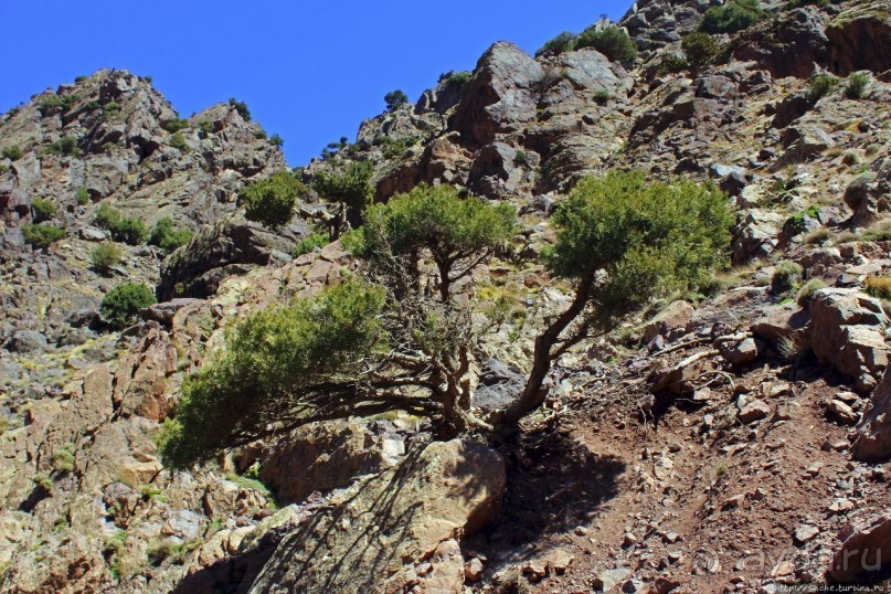 Высокий Атлас. Навстречу снежным склонам