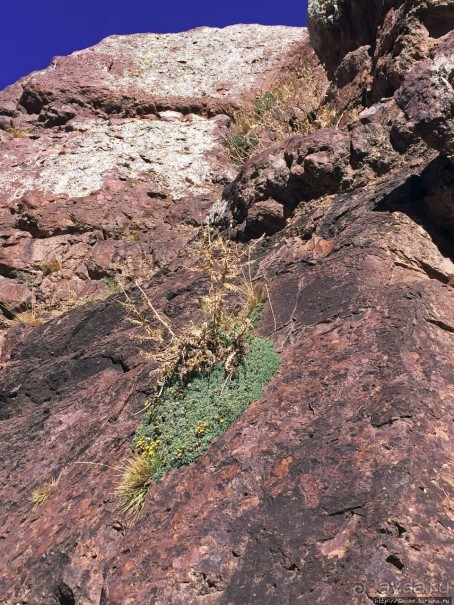 Высокий Атлас. Навстречу снежным склонам