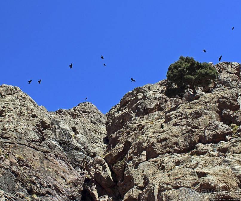 Высокий Атлас. Навстречу снежным склонам