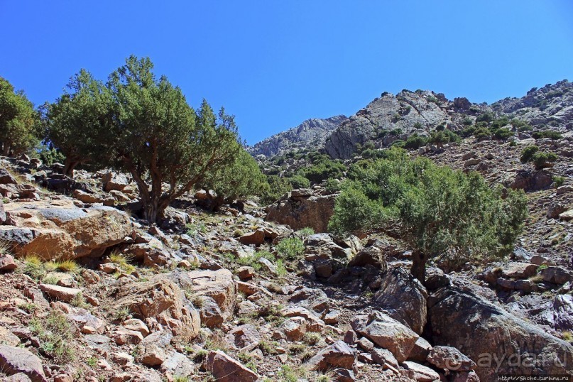 Высокий Атлас. Навстречу снежным склонам