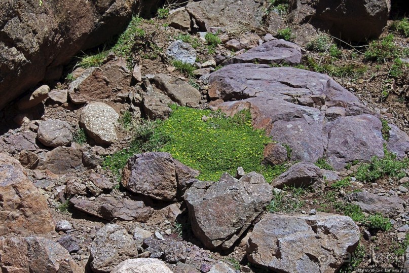 Высокий Атлас. Навстречу снежным склонам