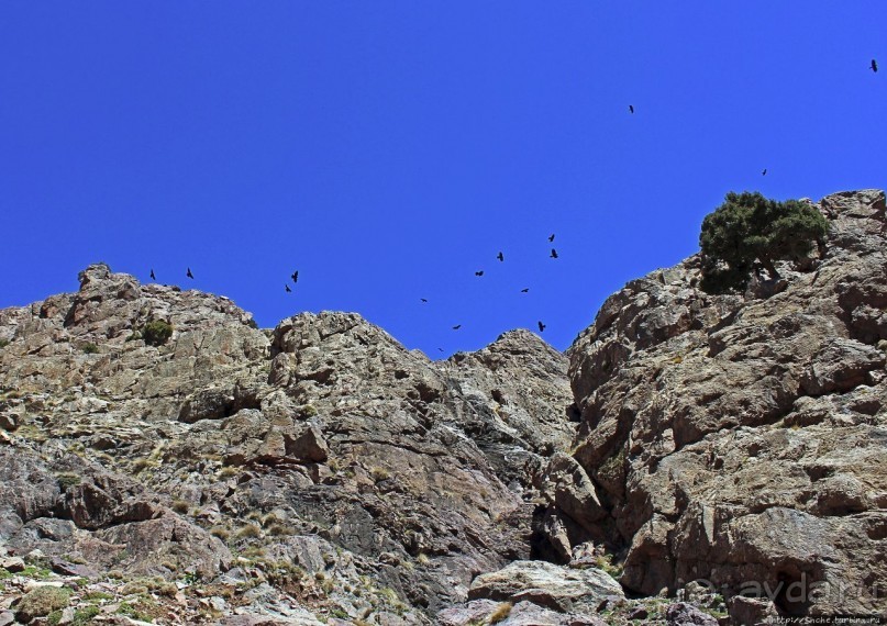 Высокий Атлас. Навстречу снежным склонам