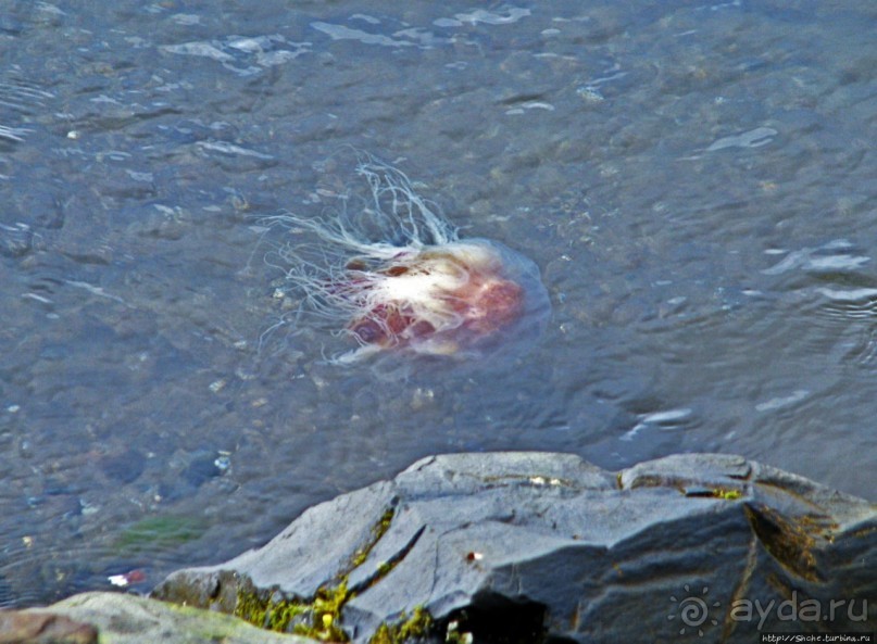 Хваммстанги — просто захотелось свернуть с дороги