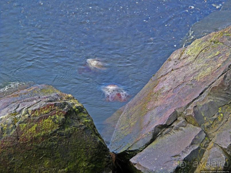 Хваммстанги — просто захотелось свернуть с дороги