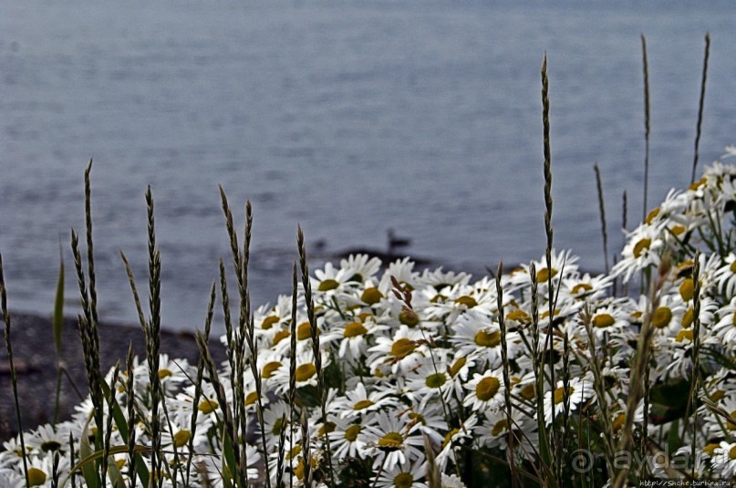 Хваммстанги — просто захотелось свернуть с дороги