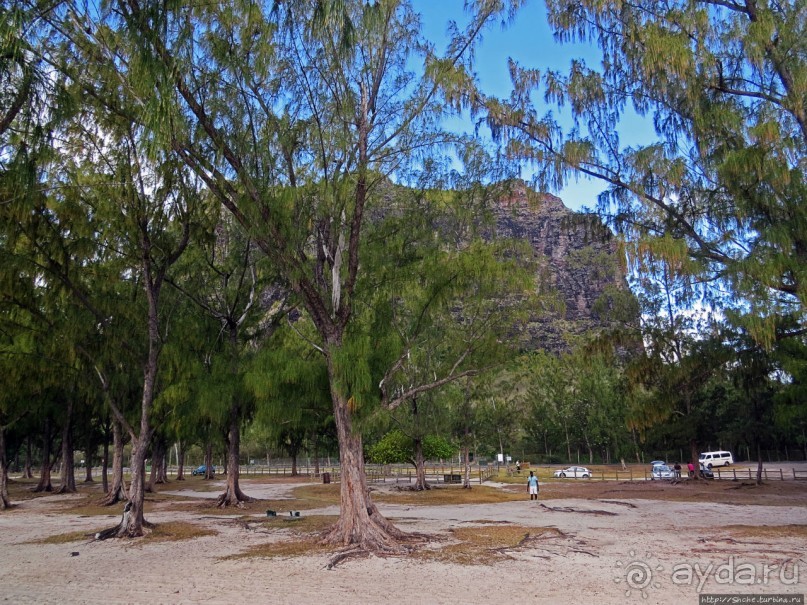 Умереть свободными