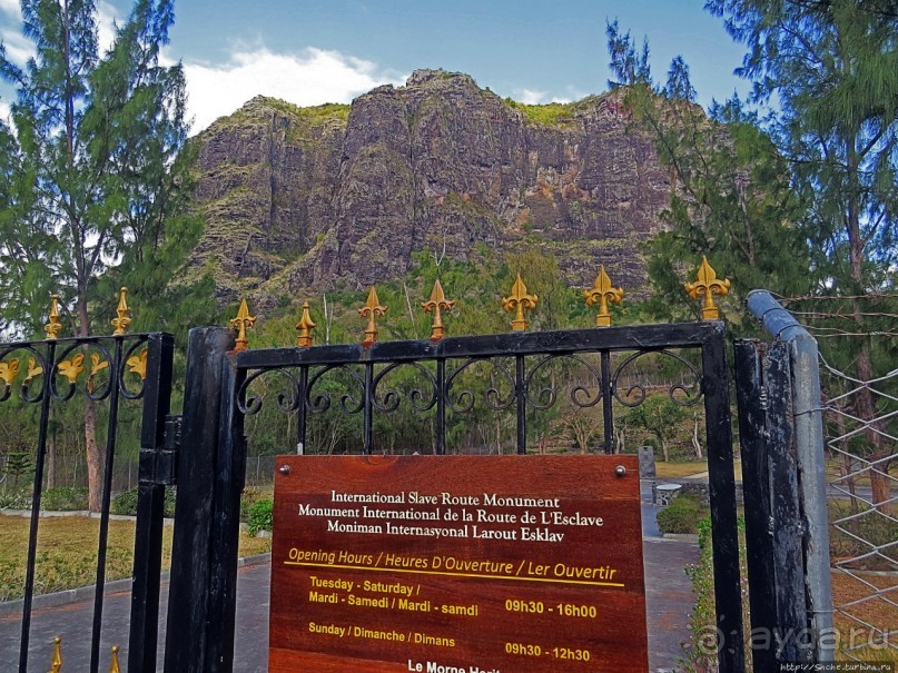 Умереть свободными