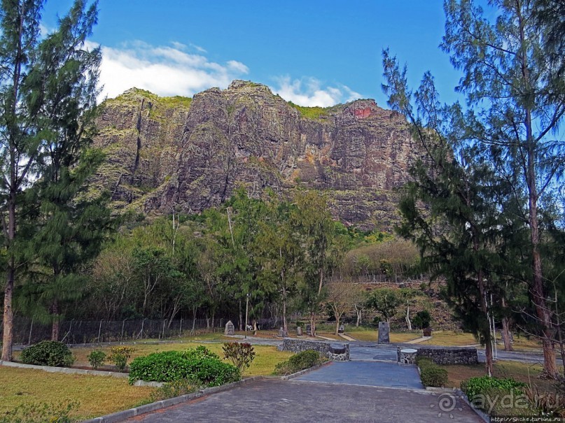 Умереть свободными