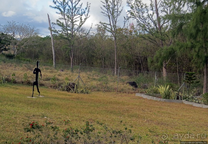 Умереть свободными