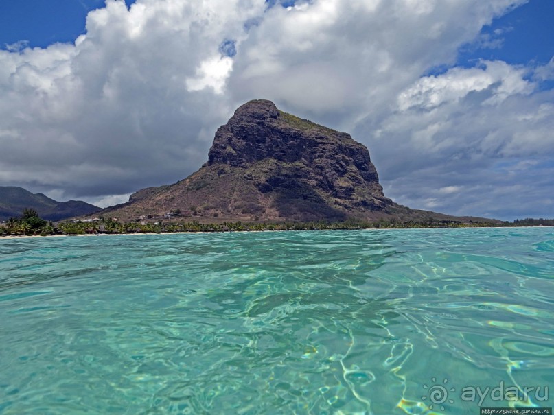 Альбом отзыва "Умереть свободными"