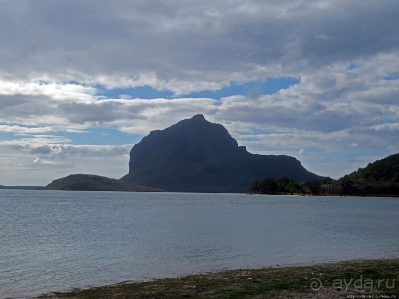 Умереть свободными