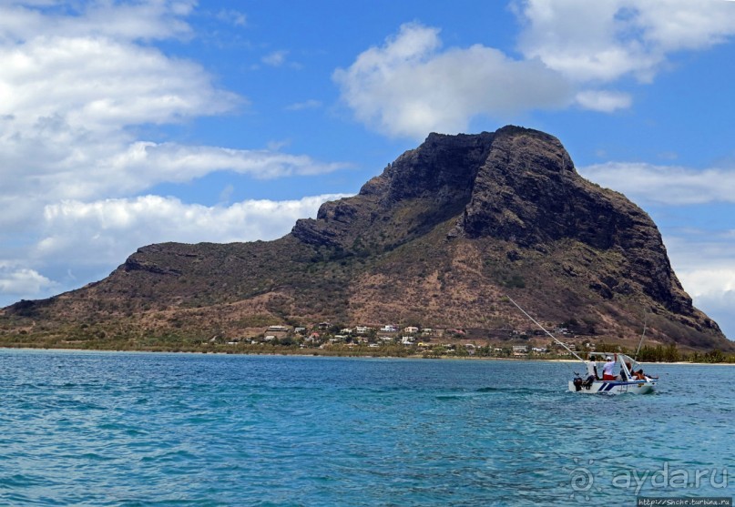 Умереть свободными