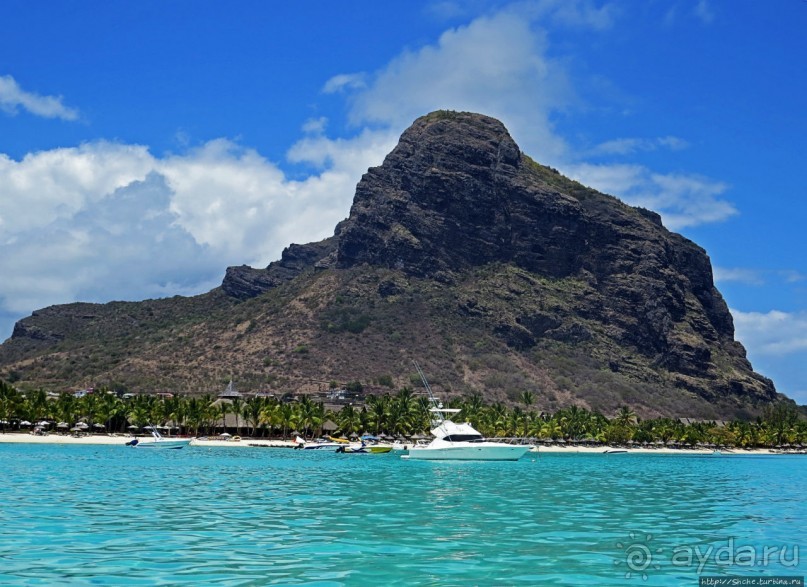 Умереть свободными