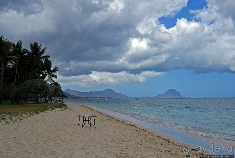 Умереть свободными