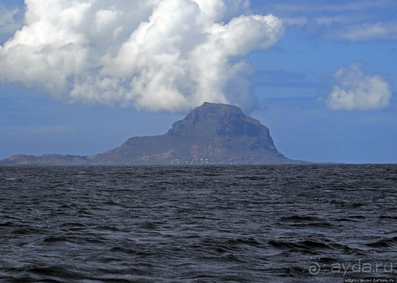 Умереть свободными