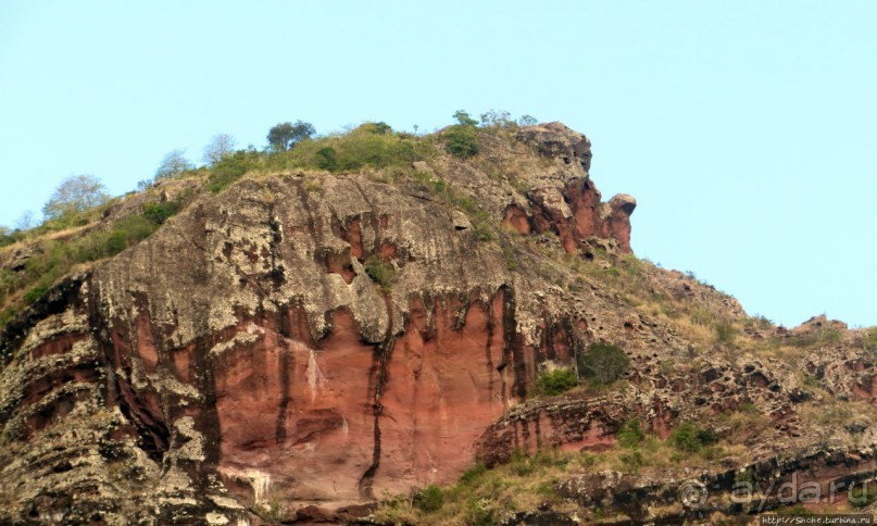 Умереть свободными