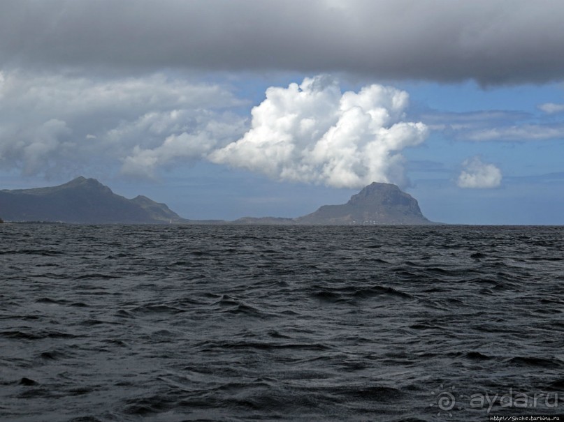 Умереть свободными