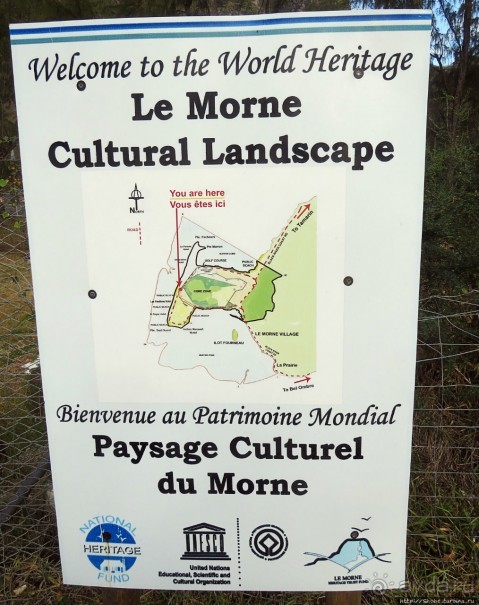 Умереть свободными