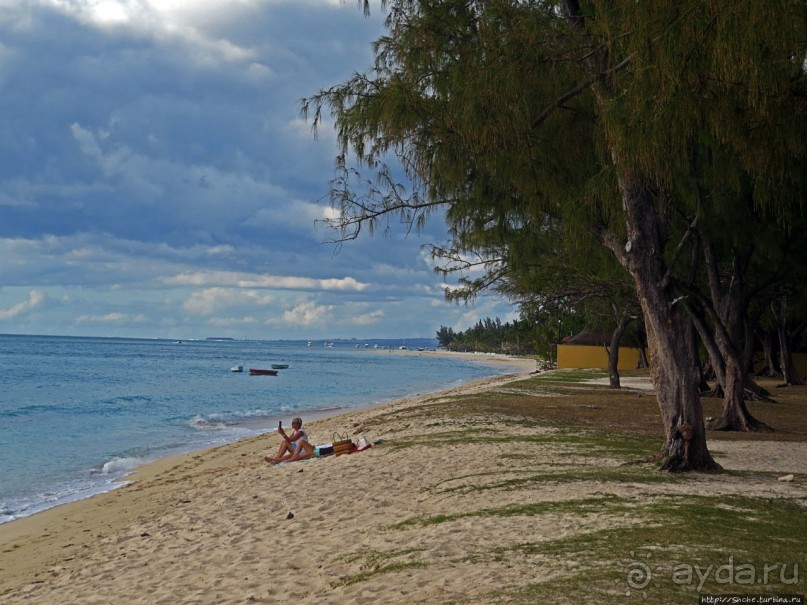 Умереть свободными