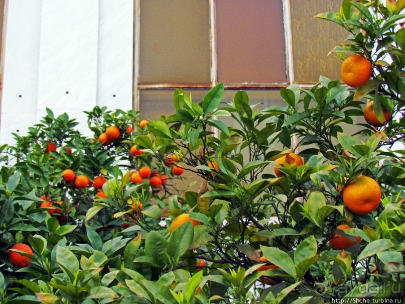 Афины. Первое впечатление