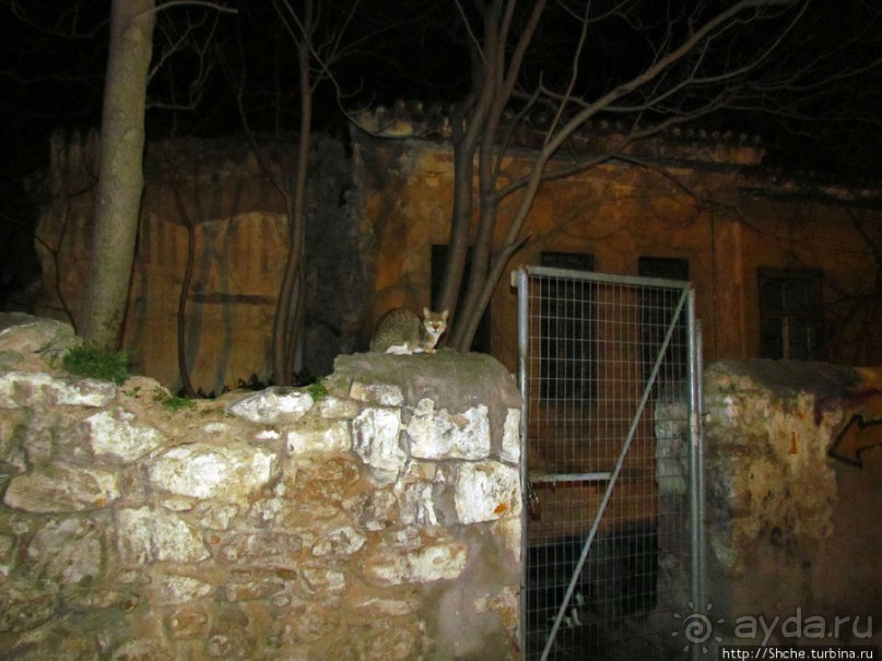 Афины. Первое впечатление