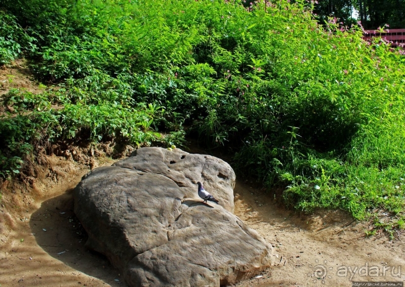 С Ершовым по Москве... "Коломенское" вдоль и почти поперек