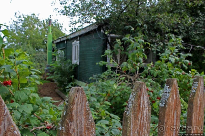 С Ершовым по Москве... "Коломенское" вдоль и почти поперек