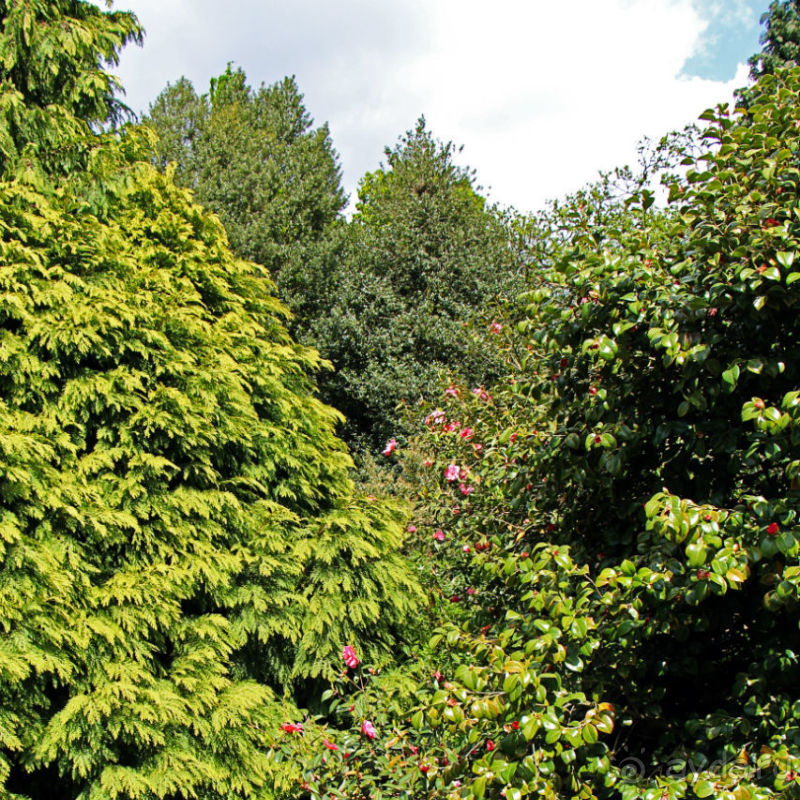Гринвичский парк, Гринвичский холм, Гринвичский меридиан
