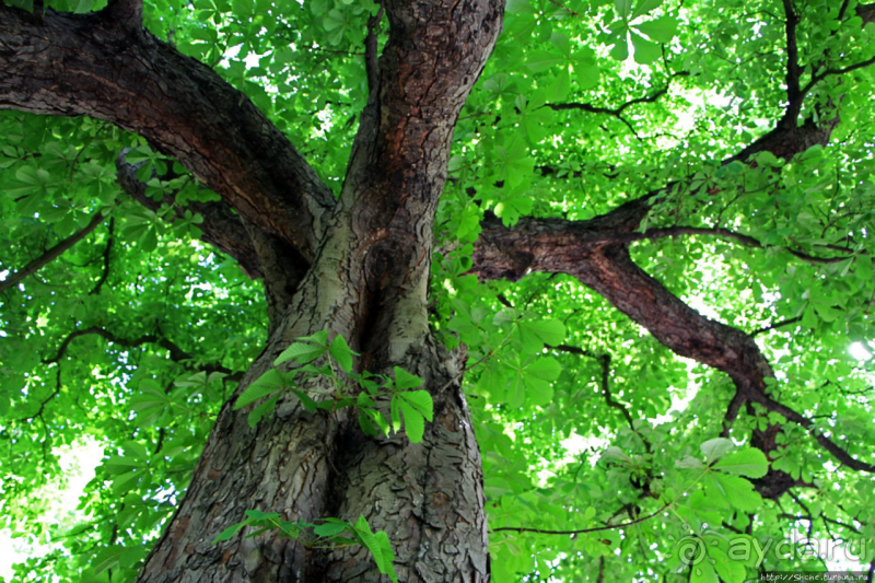 Гринвичский парк, Гринвичский холм, Гринвичский меридиан