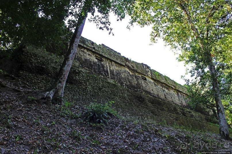 Древнее городище классических майя Тикаль — объект ЮНЕСКО 64