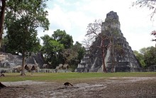 Древнее городище классических майя Тикаль — объект ЮНЕСКО 64