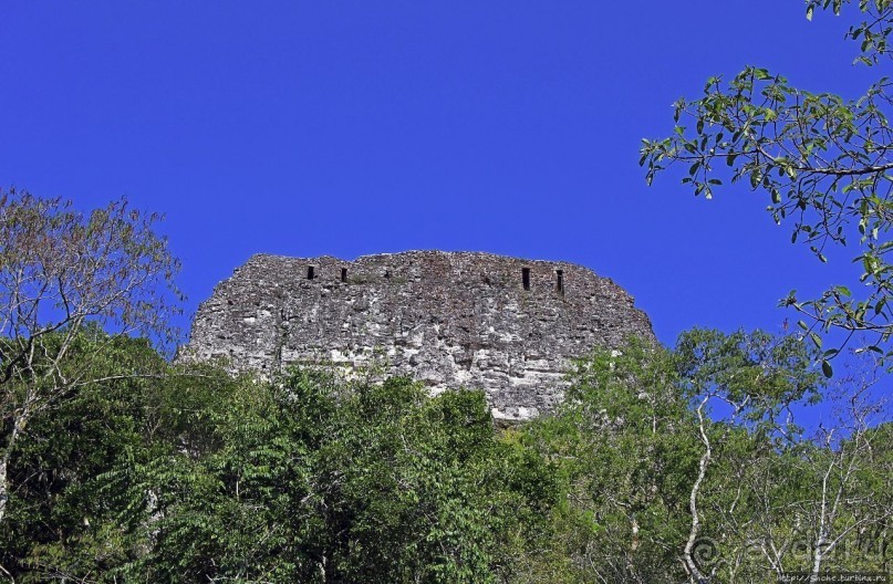 Древнее городище классических майя Тикаль — объект ЮНЕСКО 64