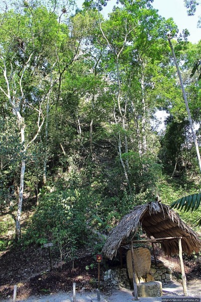 Древнее городище классических майя Тикаль — объект ЮНЕСКО 64