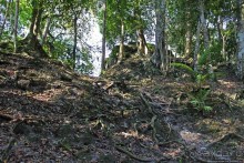 Древнее городище классических майя Тикаль — объект ЮНЕСКО 64