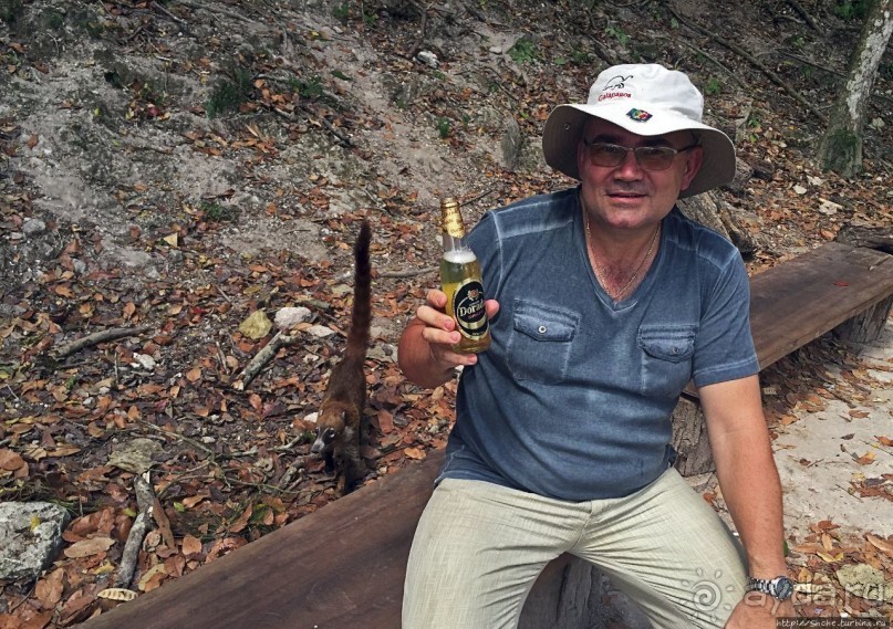 Альбом отзыва "Древнее городище классических майя Тикаль — объект ЮНЕСКО 64"