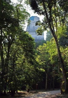 Древнее городище классических майя Тикаль — объект ЮНЕСКО 64