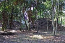 Древнее городище классических майя Тикаль — объект ЮНЕСКО 64