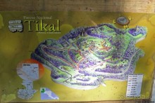 Древнее городище классических майя Тикаль — объект ЮНЕСКО 64