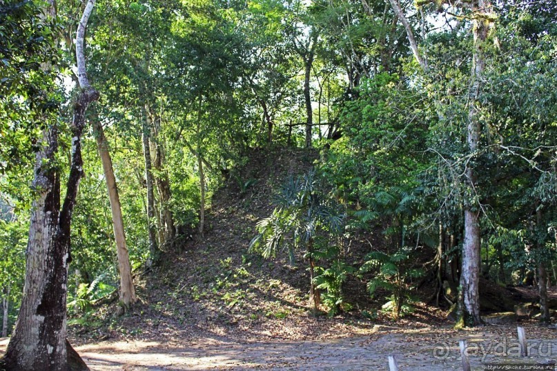 Древнее городище классических майя Тикаль — объект ЮНЕСКО 64