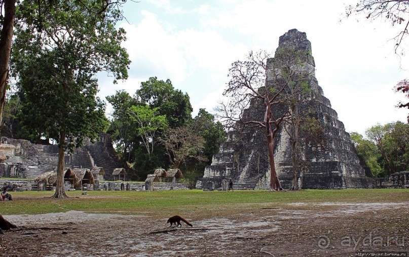 Древнее городище классических майя Тикаль — объект ЮНЕСКО 64