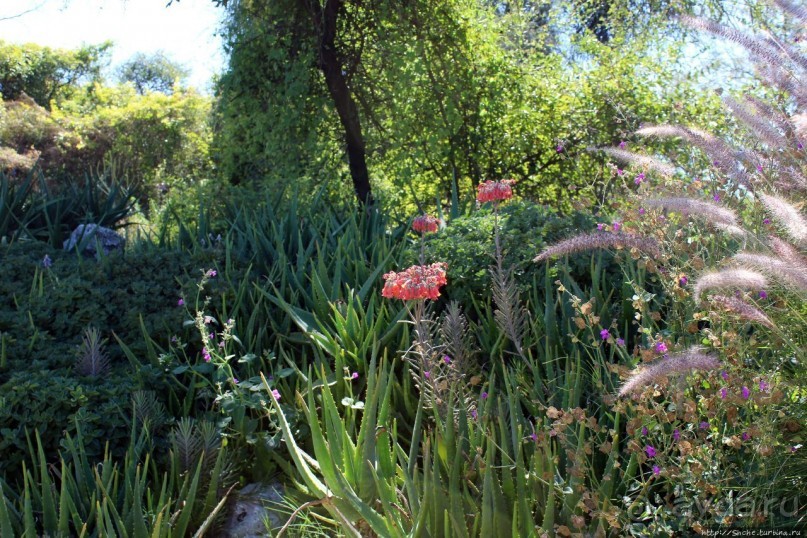 Гоба — упавшая звезда Намибии