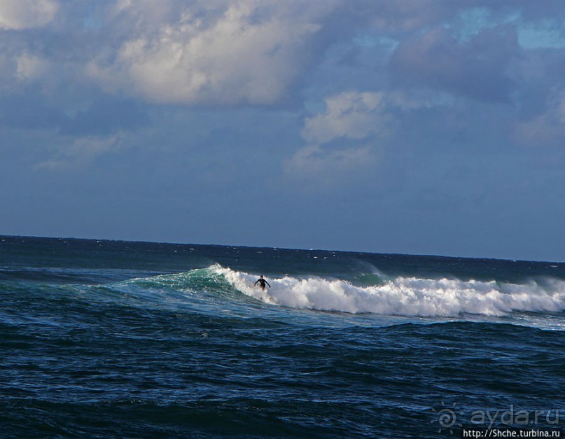 На гребне волны