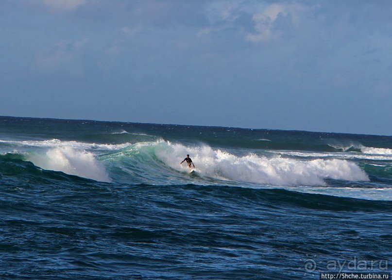На гребне волны