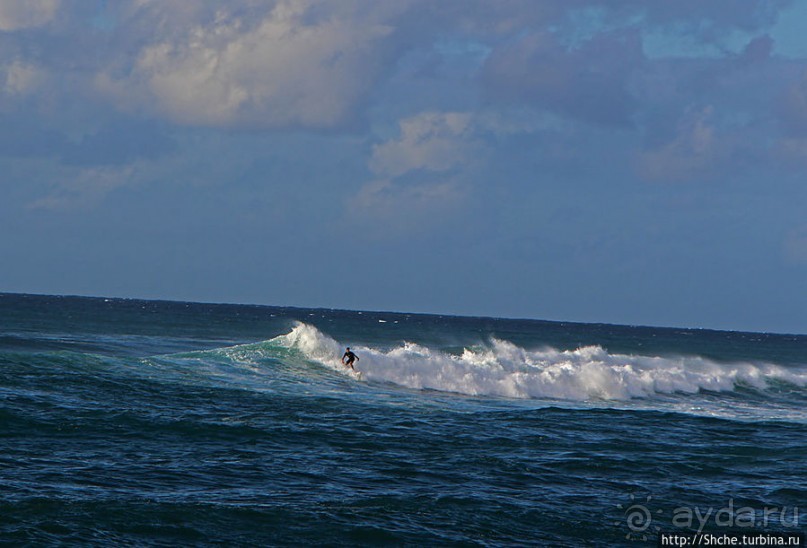 На гребне волны