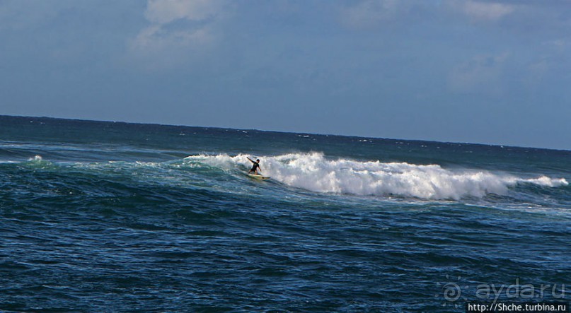 На гребне волны