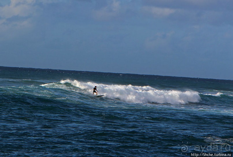 На гребне волны